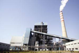 中美科學家聯(lián)手破解“白色污染”困局，新型環(huán)保技術引領綠色未來