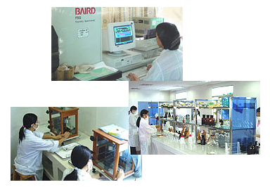 環保技術開發 引領綠色未來的創新之路